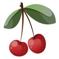 Two cherries on a branch with leaves vector