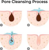 Pore Cleansing Process A Step-by-Step Guide to Clear Skin Design Illustration vector