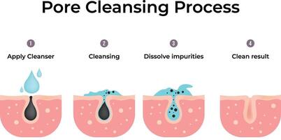 Pore Cleansing Process A Step-by-Step Guide to Clean Skin Design Illustration vector