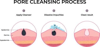 Pore Cleansing Process A Step by Step Visual Guide Design Illustration vector