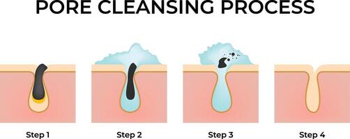 Pore Cleansing Process A Step-by-Step Guide Design Illustration vector