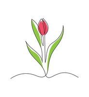 Red Tulip flower in continuous line art drawing style. Minimalist black linear sketch isolated on white background. vector