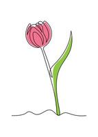 Pink Tulip flower in continuous line art drawing style. Minimalist black linear sketch isolated on white background vector