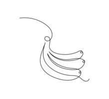 Banana in one continuous line art drawing style. Minimalist fruit illustration in black line sketch isolated on white background. vector