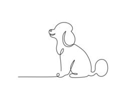 Poodle dog in continuous line art drawing style. Illustration of animal minimalist black linear sketch isolated on white background. vector