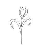 Tulip flower in continuous line art drawing style. Minimalist black linear sketch isolated on white background. vector