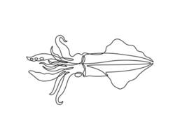 Illustration of squid in continuous line art drawing style. Animal minimalist black linear sketch isolated on white background. vector