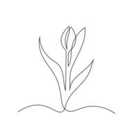 Tulip flower in continuous line art drawing style. Minimalist flower illustration in black linear sketch isolated on white background. vector
