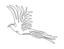 Flying pheasant bird one line drawing on white isolated background. vector