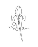 Illustration of Tulip flower in continuous line art drawing style. Minimalist black linear sketch isolated on white background. vector