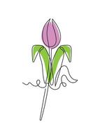 Purple Tulip flower in continuous line art drawing style. Minimalist black linear sketch isolated on white background vector