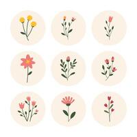 Set of minimal floral icons in round frames. Flat botanical elements with hand-drawn flowers and leaves, perfect for eco design, stickers, branding, packaging, and spring themes. vector
