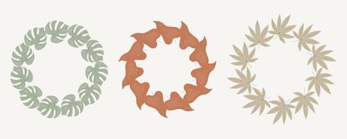 Set of three botanical wreaths made of tropical leaves in flat minimal style. Circular natural frames with monstera, maple and heart-shaped foliage for eco design, wedding, and invitations. vector