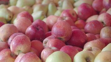 Fresh apples sorted in a vibrant display at a local market video