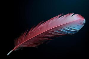 Red feather floating on dark background symbolizing lightness and gentleness photo