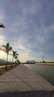 Irrigation Dam With Palm Trees and Canal video