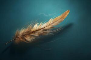 Light brown feather floating on teal background photo