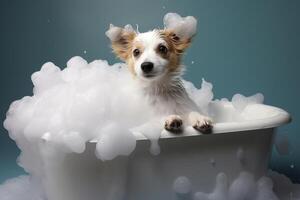 Cute dog taking a relaxing bath covered in soap suds photo