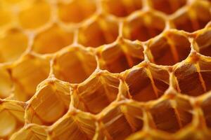 Close up of empty golden honeycomb structure showing perfect hexagons photo