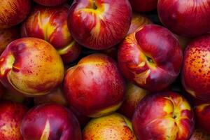 Fresh nectarines forming a colorful and vibrant display at a farmers market photo