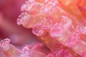 Soft coral polyps showing their delicate tentacles in pink and orange reef scene photo