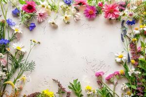 Colorful wildflowers frame creating copy space on plaster background photo