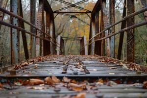 Old rusty bridge covered with autumn leaves in a forest photo