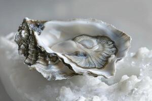 Fresh oyster shell resting on crushed ice, ready for consumption photo