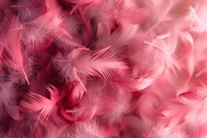 Pink feathers creating soft and delicate background texture photo