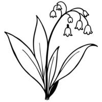 Lily of the valley flower outline simple black and white illustration vector