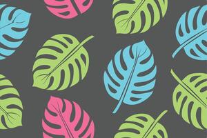 Colorful monstera leaves on a grey background creating a modern tropical seamless pattern design vector