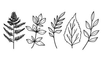 Hand drawing floral minimal elements in line art style. vector