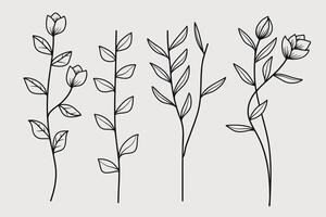 Hand Drawn Twigs with Leaves in a Botanical collection. illustration vector