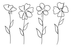 One continuous line art flower illustration collection.One continuous line art. illustration vector