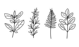 Hand drawn floral minimal elements in line art style. Illustration vector