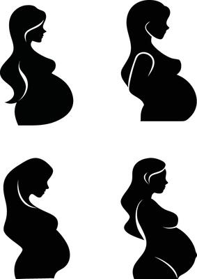 Silhouette illustration of Pregnant Women in profile view, representing maternity, motherhood, and pregnancy stages