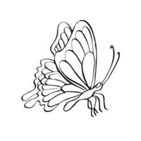 Line butterfly insect, illustration. Hand drawn contour sketch on isolated background. Linear drawing in black and white vector