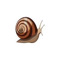 Minimal Snail Shell Design on White Background vector
