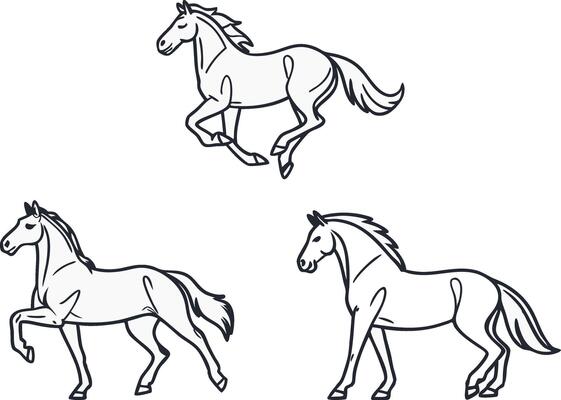 Elegant Horse Art Collection for Designers