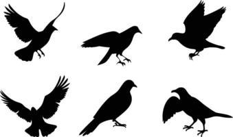 Minimal Birds Icon Collection for Digital Use vector
