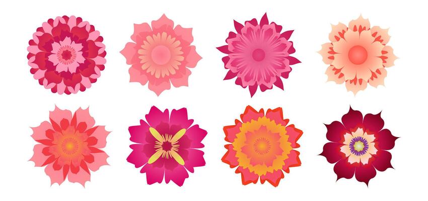 Pink Isolated Flower Collection