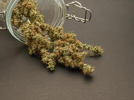Close-up of a glass container containing dried and clipped cannabis buds against a gray background photo
