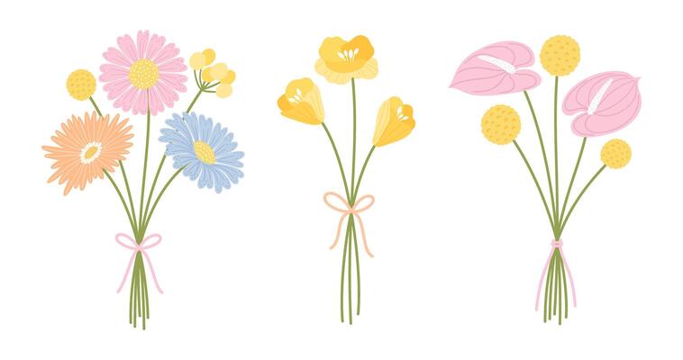 Set of three bouquet wildflowers. Floral bunch. Flowers tied with ribbon, illustration. Meadow herbs, and wild plants for design projects