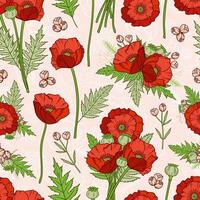 Seamless pattern with poppies, bohemian style. vector