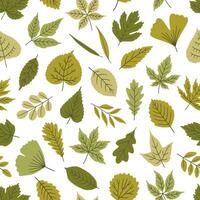Seamless pattern with different spring leaves, illustration vector