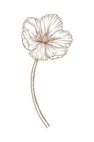 Tulip flower, contour. Beautiful spring decor, sketched element for design vector
