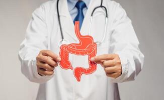 Close-up of a doctor holding a intestine symbol made from red paper while standing on a gray background. photo