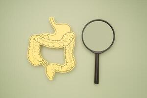 Top view of an intestine symbol made from yellow paper and a magnifier on a green background photo