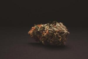 Close-up of dry cannabis buds on a black background. photo