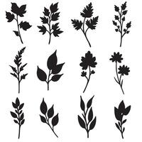 Silhouette flora freehand drawing icons with organic shape variation design for prints posters and templates vector